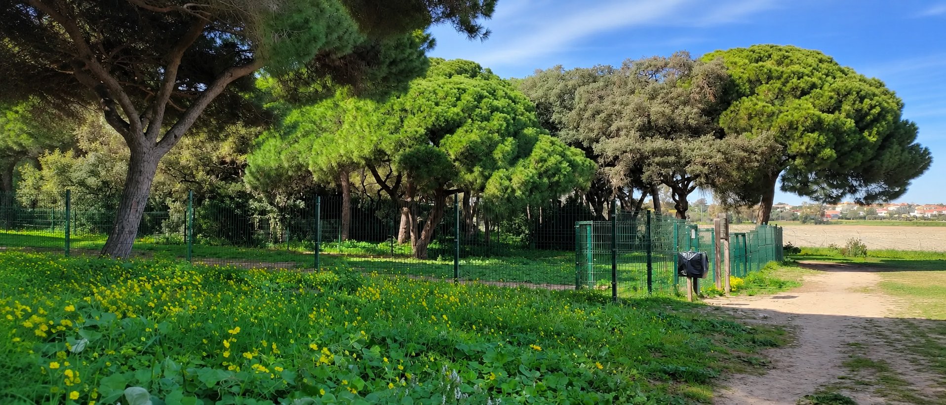 Parque Canino de Olhão